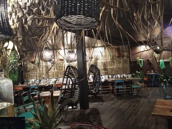 Coco Jungle
