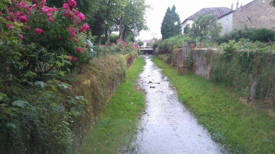 Les Lauriers Roses